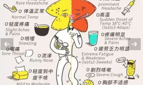 马勃中药百度百科-马勃功效与作用禁忌网 - 网站提供马勃的药用价值小常识、马勃的药用功效是什么